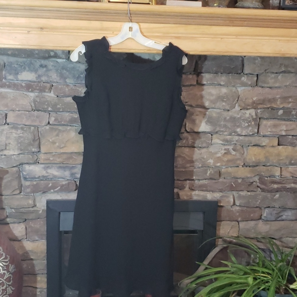 SALE⚡️ADRIANNA PAPELL SILK RUFFLE  SZ 10/12 READ - Picture 6 of 13